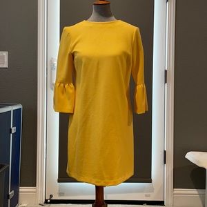 Zara ruffled sleeves dress